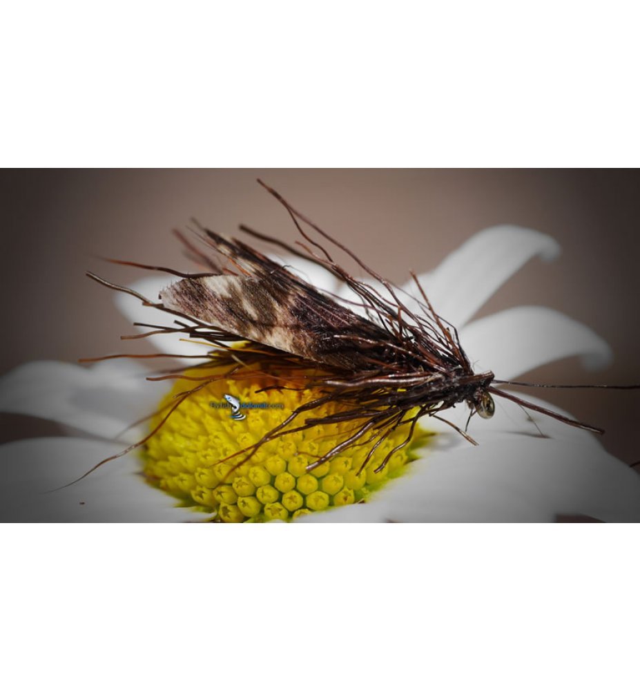 Mosche Sedge E Caddis Set 18 Mosche Secche Per Pesca A Mosca - Modelli